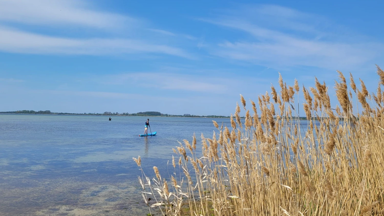 Sonneninsel & Ankerplatz Wiek Strandblick